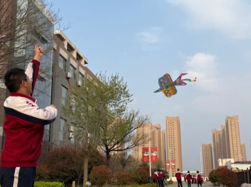 ѧ������Ȥ���ޣ��ഺ��ɾ����ţ��߶��꼶ѧ